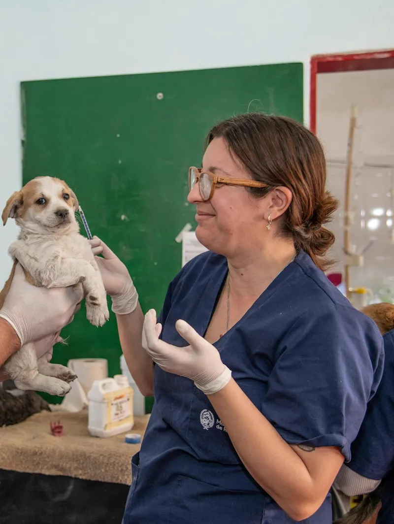 Veterinária de luvas sorri enquanto um colega segura um filhote no consultório.